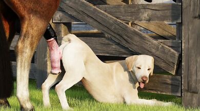 Busty Bitch in Heat, Ready to Ride