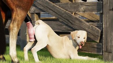 Busty Bitch in Heat, Ready to Ride