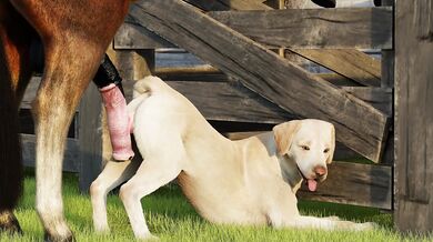 Busty Bitch in Heat, Ready to Ride