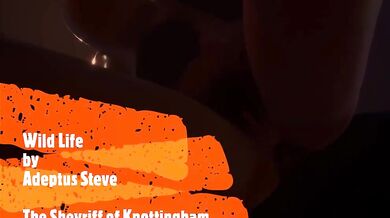 The Knotty Sheriff of Knobbington - Adeptus Steve