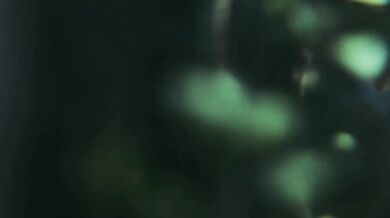 Watch as Ellie and Deathclaw engage in a sexy extended adventure that will leave you breathless