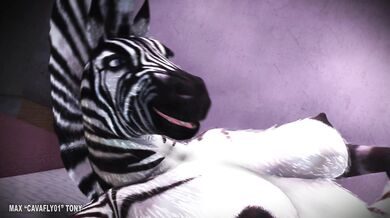 Zahiras Christmas Wish