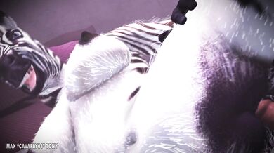 Zahiras Christmas Wish