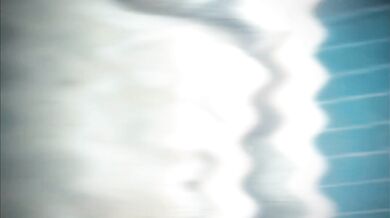 Carlos Oliveira and Leon Kennedy - An Unforgettable PMV