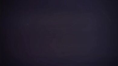 Carlos Oliveira and Leon Kennedy - An Unforgettable PMV