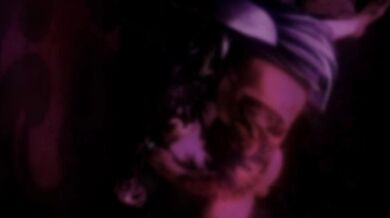 The Harem Housewife 3: One Bun, Two Bun, Lots of Fun