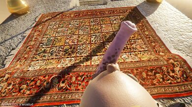 Aisha and AniBoy, in a thrilling POV scene on the royal throne, will make your heart paint with passion!