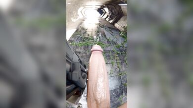 The Descendant: A Futa and Hailey Adventure (featuring Milky Girls)