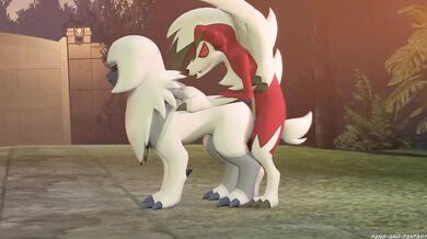 Lycanroc Mates with Absol in a Fang and Fantasy Porn Scene