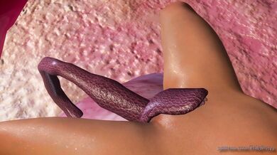 Mythical Creatures Invade Mundane Lives - Episode 1: The Cum-suming Love of a Deep One