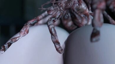 The Hentai Mistress of the Darkness