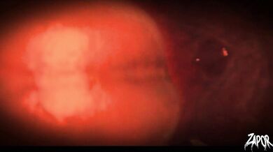 The Vore Monster: The Gastronomic Terror!