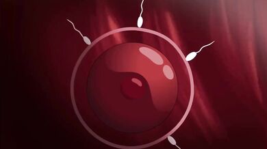 The Dark Knight and the Mage - A Fire Emblem Hentai