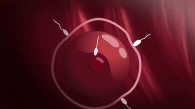 The Dark Knight and the Mage - A Fire Emblem Hentai