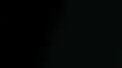 The Alley Cat: A Firebrands Fury