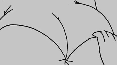 Watch the action unfold in Gentle Wedding Night where a couple gets to experience their first time together as husband and wife!