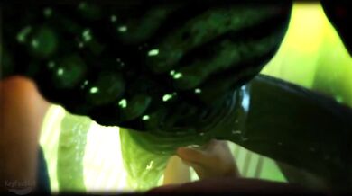 The Alien Queens Seduction of a Keyfeather