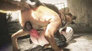 Lesbians 2B Fucked By A Dog While Being Filmed In HD