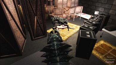 Aeriss ultimate fantasy - The Dark Knight of the Ring