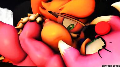 Becoming a Sexualized Harem of One - The Transformation of Werehog Amy