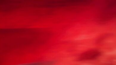 Momiji and the sharing of her love with a family friend