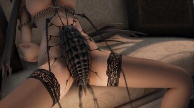 An entomological encounter on the sofa!