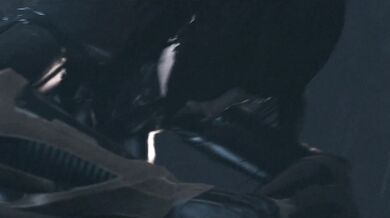 The Sexy Adventures of Batgirl and Catwoman, Starring Barbara Gordon Futa on Female [Big Johnson]