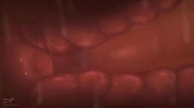 Charizard: A Pokemon Compilation of Hentai Videos