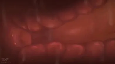 Charizard: A Pokemon Compilation of Hentai Videos