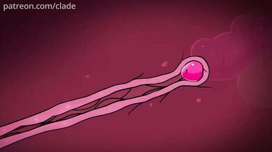 One night at the Pokemon mansion, Lucario and Zoroark engage in a passionate love making session that will leave you breathless