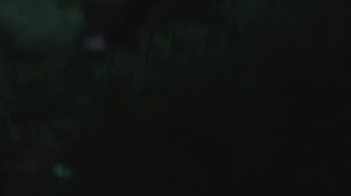 The Intense Plague Tale - An Action Movie (Guro/Gore warning)