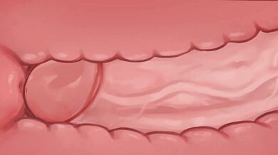 The Lusamine x Lillie Double Penetration Experience!