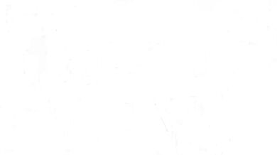 Watch Rene Pictures swimsuit harem only for me on the beach