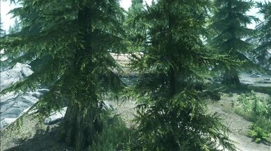 The Mother of All Beasts 2