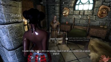 The Skytail Enchanting, a tale of sexy witches and magical dildos