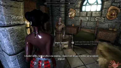 The Skytail Enchanting, a tale of sexy witches and magical dildos