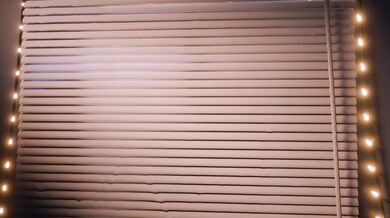 Maviss Window, Scragboy [No WM]