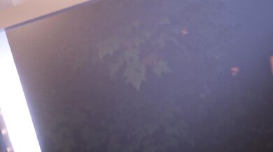 Maviss Window, Scragboy [No WM]