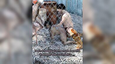 Sexy Sissy Brats in the Big City: The Slave Trade