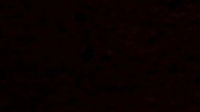 The Terrors of Love Wolfs Halls