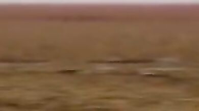 Horny Ship Captain and His Curvy Crew Member Get Down in the Engine Room (Uncensored)