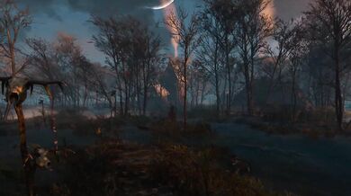 The Witcher: A Tale of Two Sisters and a Sorceress