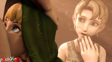 Link and Ilia (The Legend of Zelda) [PocketPuss]