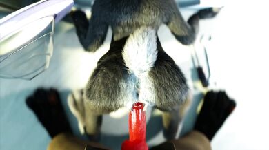 Nick has a Stepbro moment - Hakya11