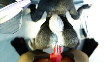 Nick has a Stepbro moment - Hakya11