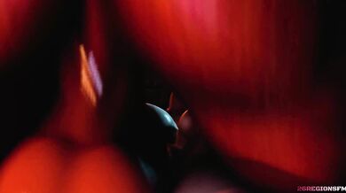 SAYURI FUCKS THE 26TH REGION [SFM]