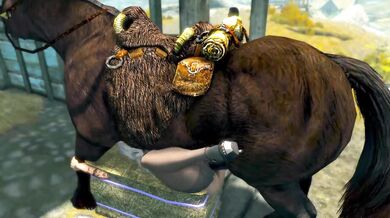 Knight Kardia in trouble