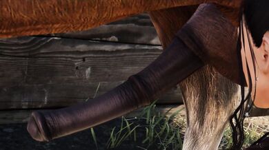 Equestrian Love: Double Stallion Action