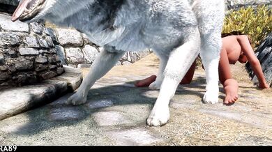 The Adventures of Adrianne, a Beautiful Breton Noblewoman as She is Nailed by Her New Pet Dragon in the Land of Skyrim