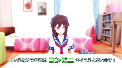 Hikari the Public Stores Sale on Sex Toys